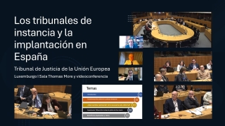 El TSJ expone en el Tribunal de Justicia de la Unión Europea la experiencia de la Región en la implantación de los Tribunales de Instancia